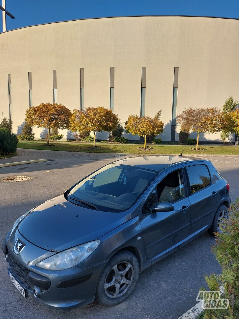 Peugeot 307 2006 m Hečbekas