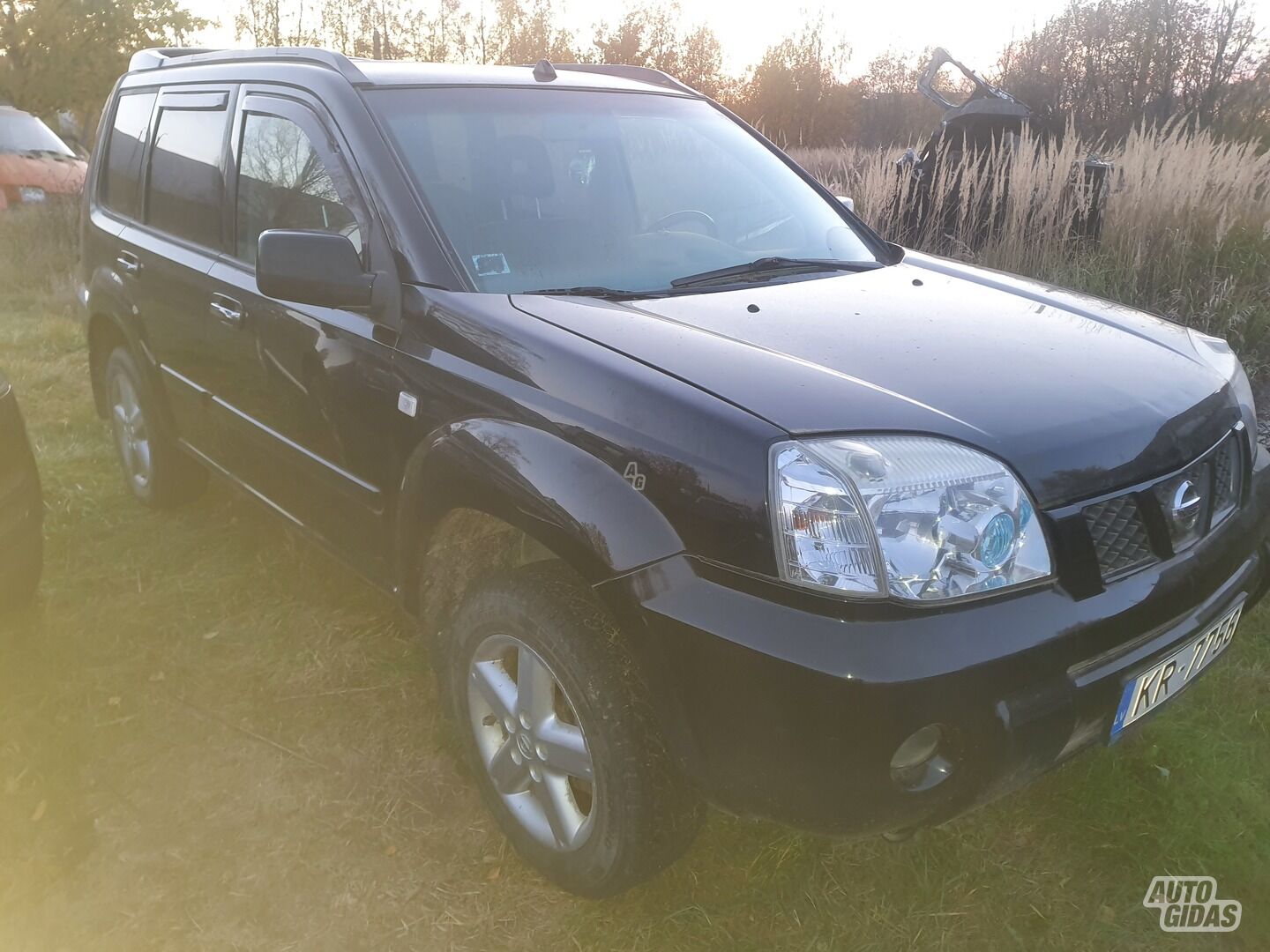 Nissan X-Trail 2004 m Visureigis / Krosoveris