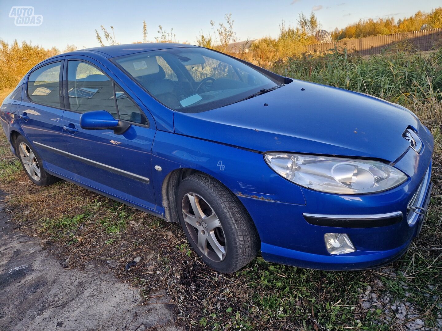 Peugeot 407 2004 y parts