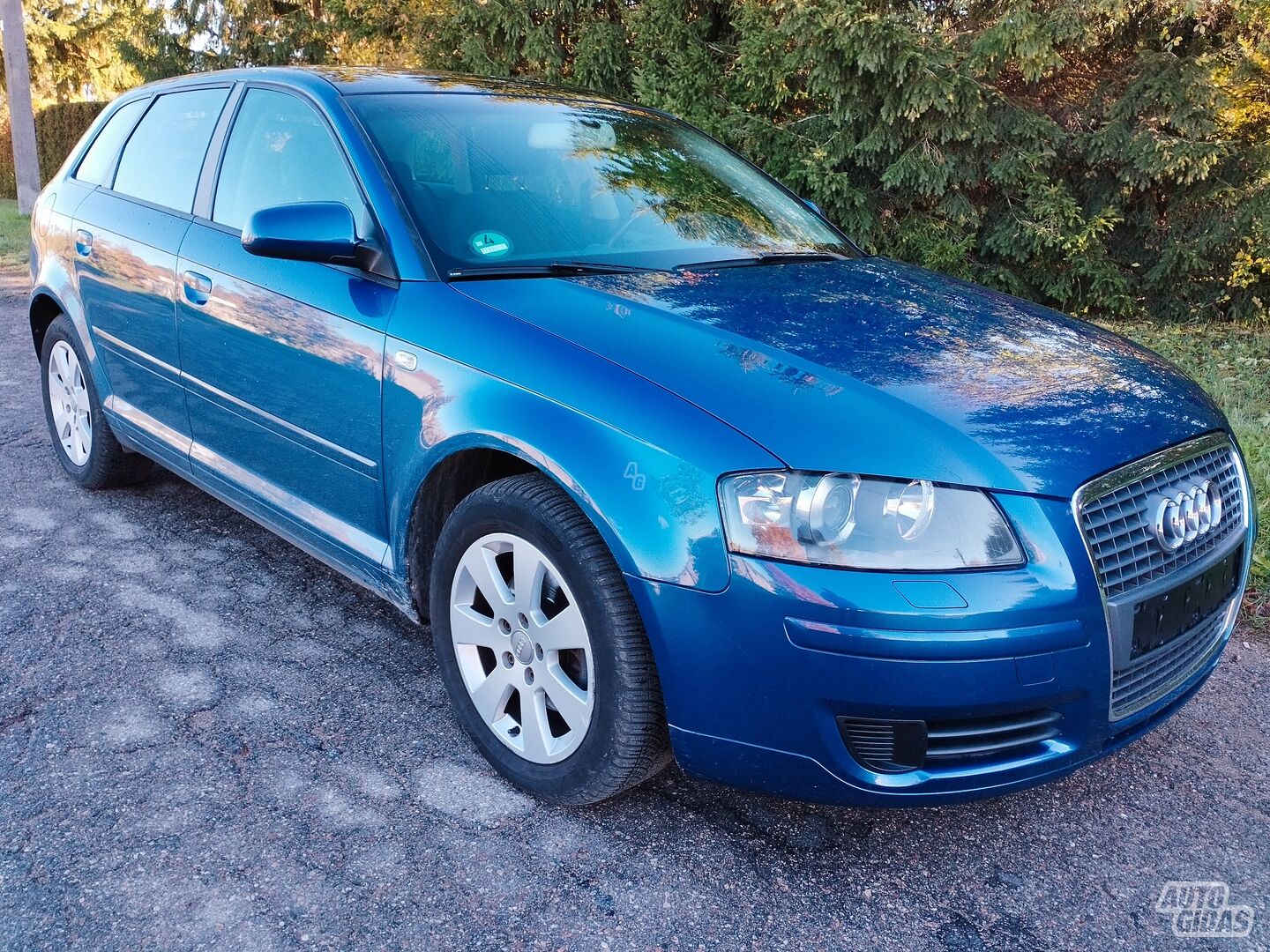 Audi A3 2005 m Hečbekas