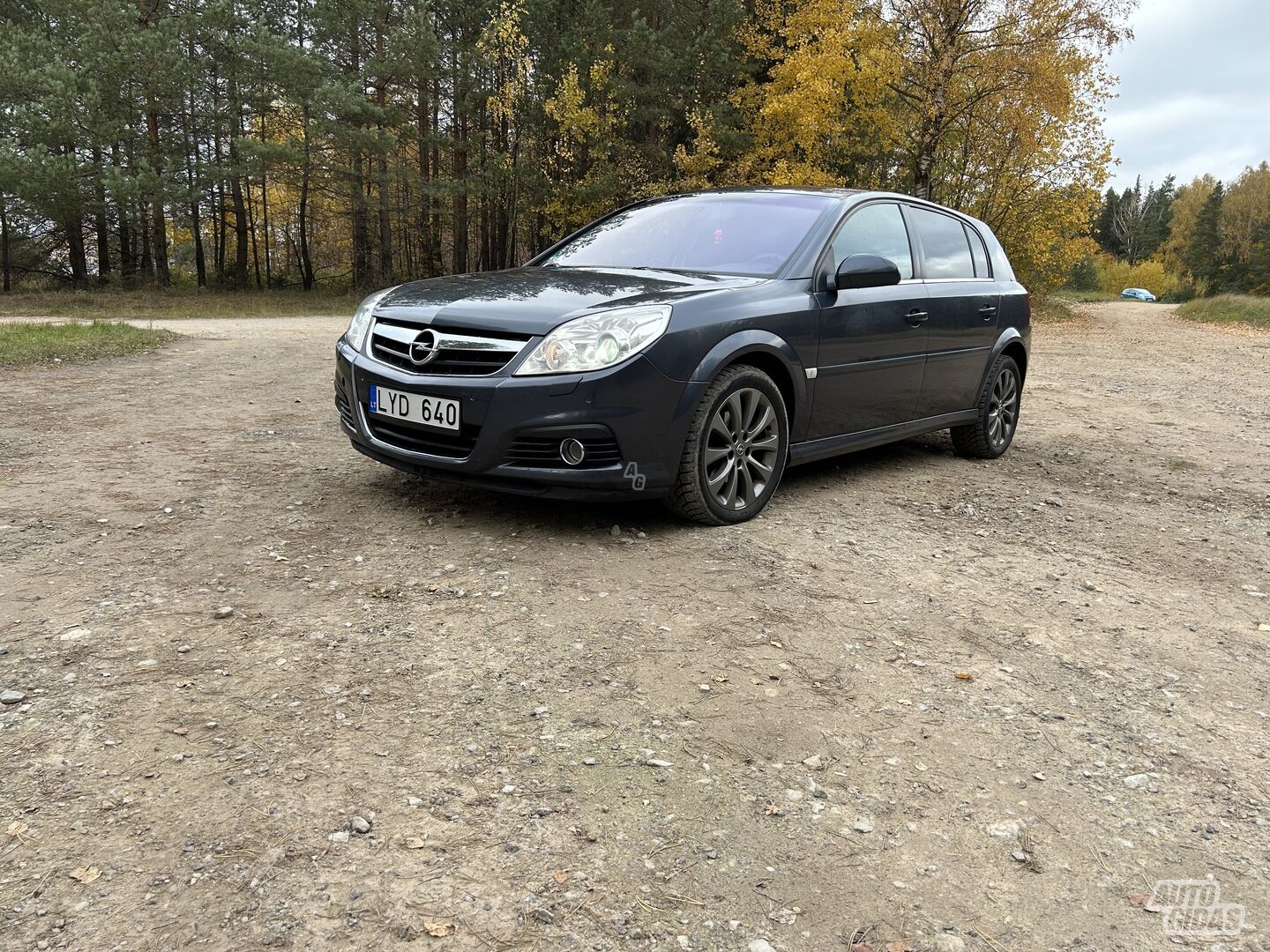 Opel Signum 2006 г Хэтчбек