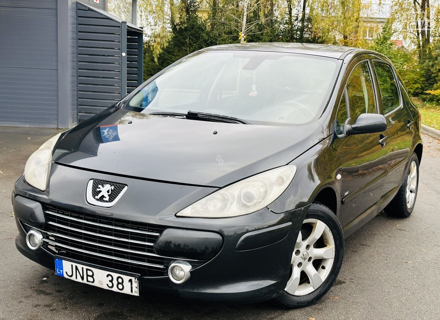 Peugeot 307 2004 m Hečbekas