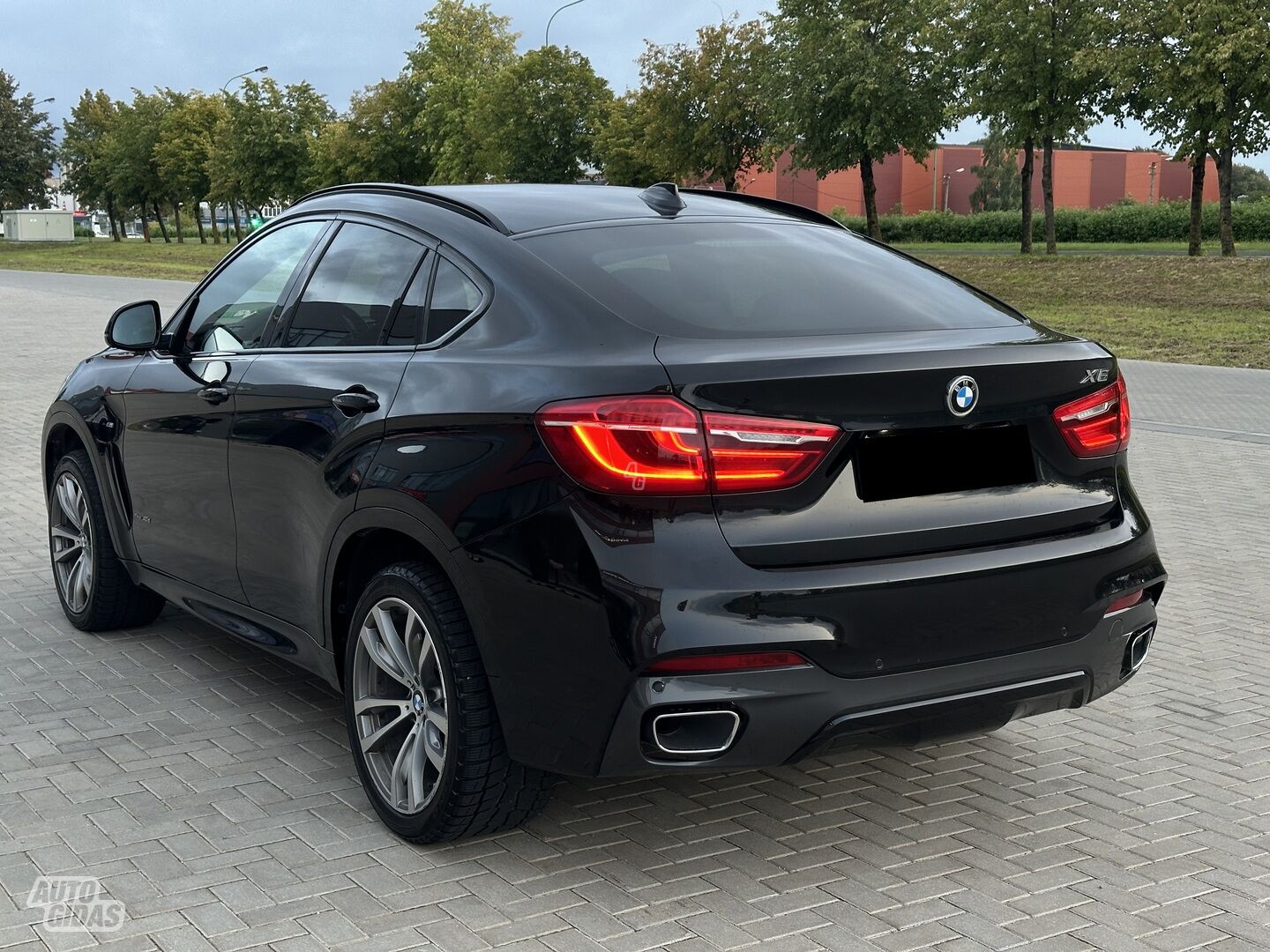 Bmw X6 2018 m Visureigis / Krosoveris