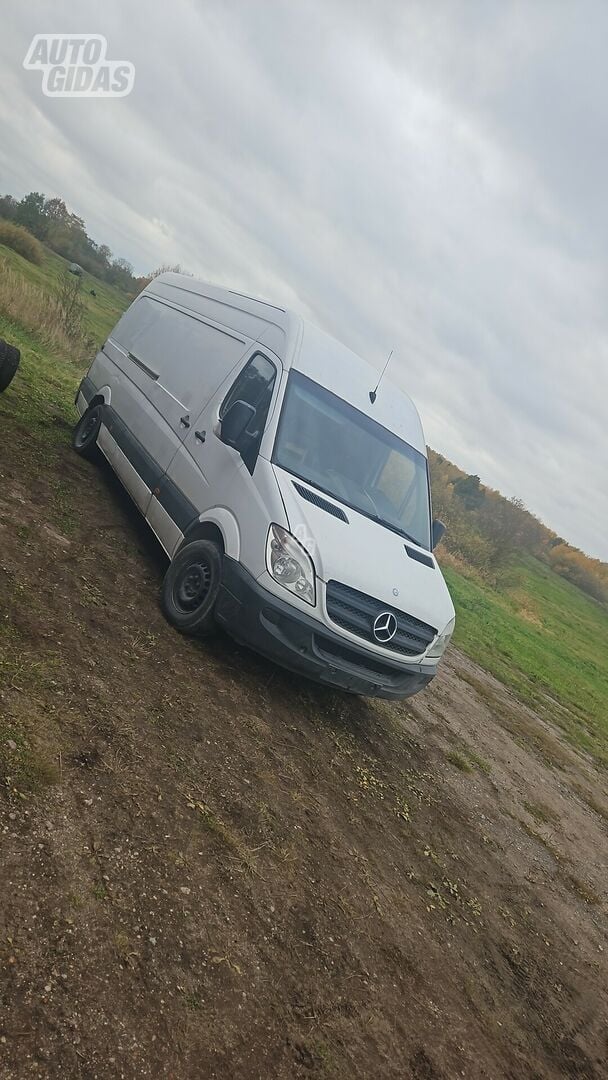 Mercedes-Benz Sprinter 2009 y Heavy minibus