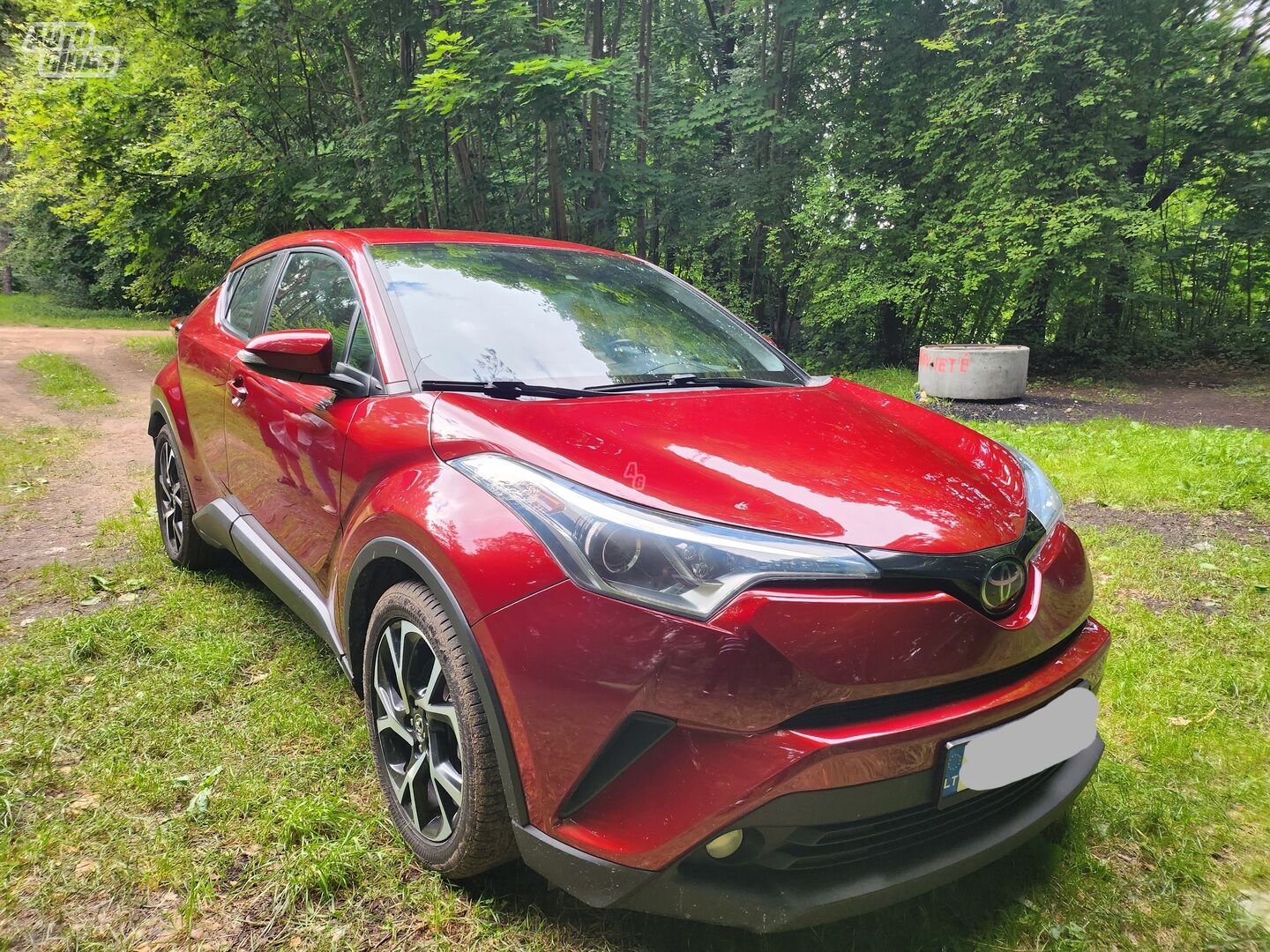 Toyota C-HR 2018 г Внедорожник / Кроссовер