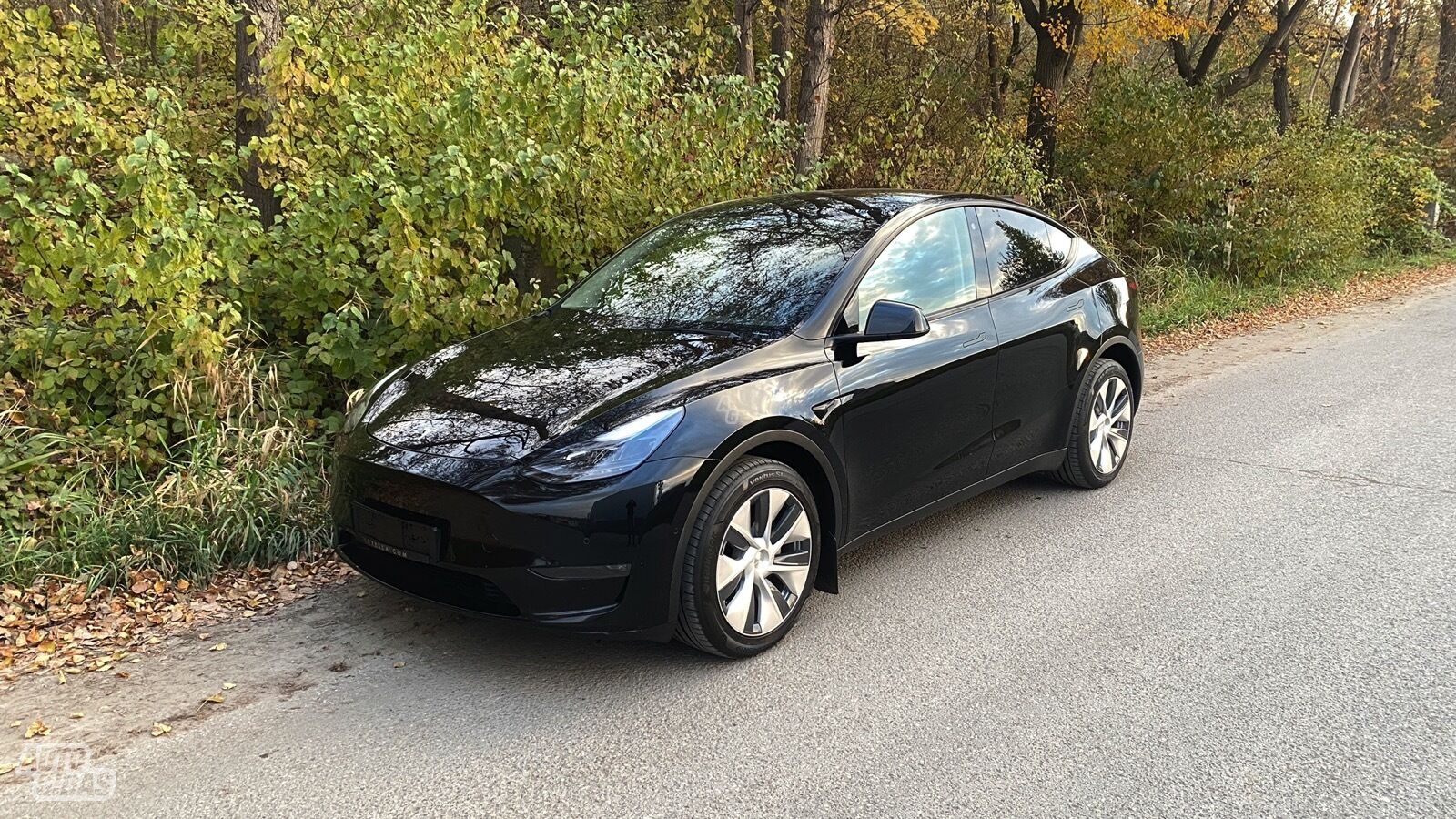 Tesla Model Y 2021 г Внедорожник / Кроссовер