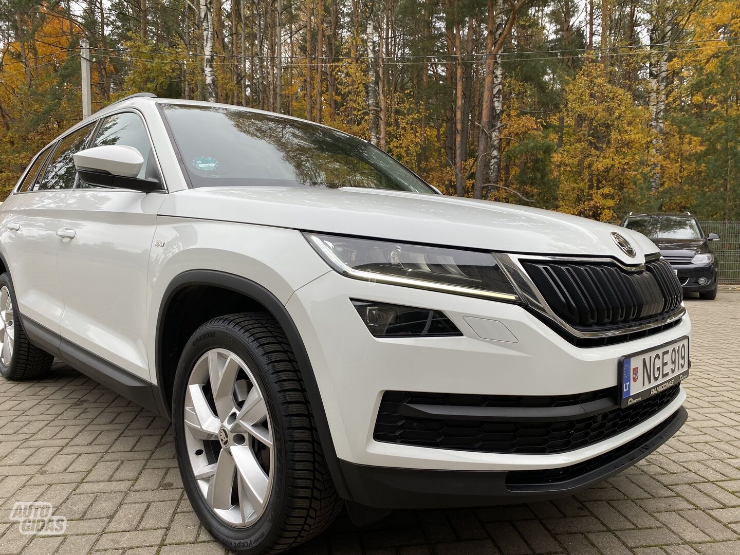 Skoda Kodiaq 2019 m Visureigis / Krosoveris