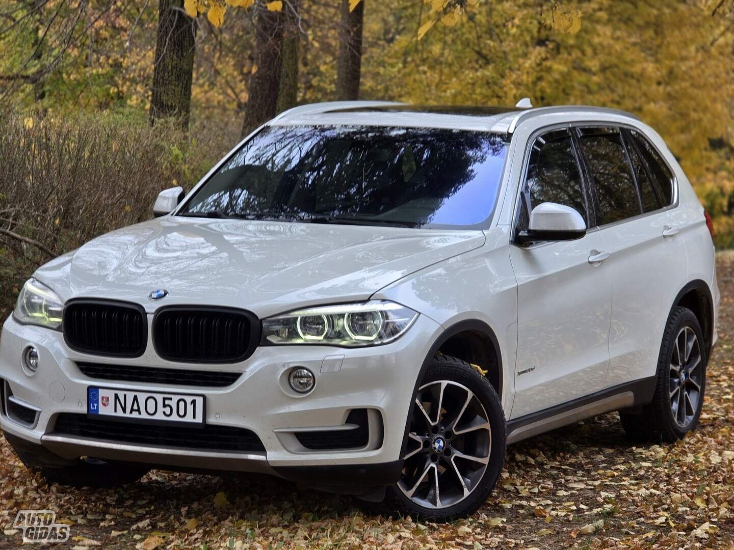 Bmw X5 2014 y Off-road / Crossover