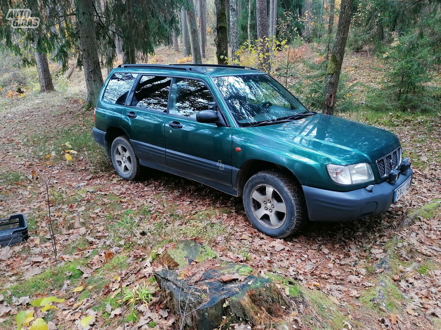 Subaru Forester 2000 m Visureigis / Krosoveris