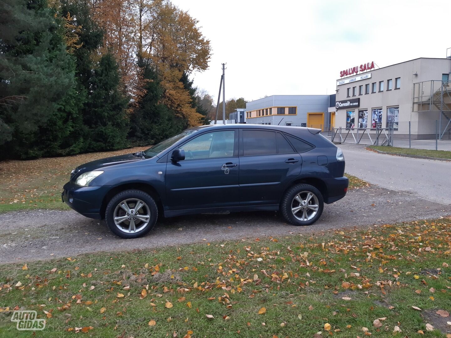 Lexus RX 400h II 2006 г