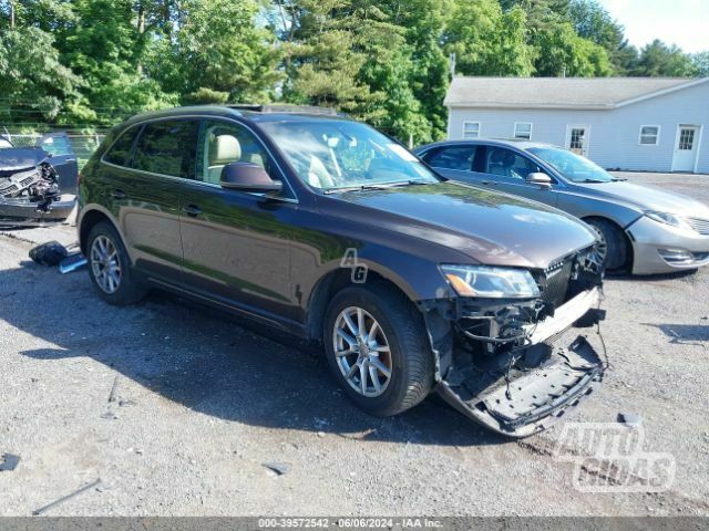 Audi Q5 2011 m Visureigis / Krosoveris