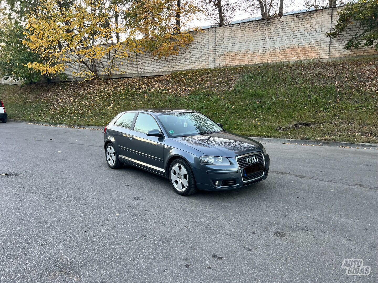 Audi A3 2007 m Hečbekas