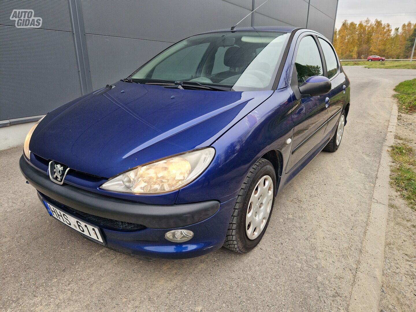 Peugeot 206 2005 y Hatchback