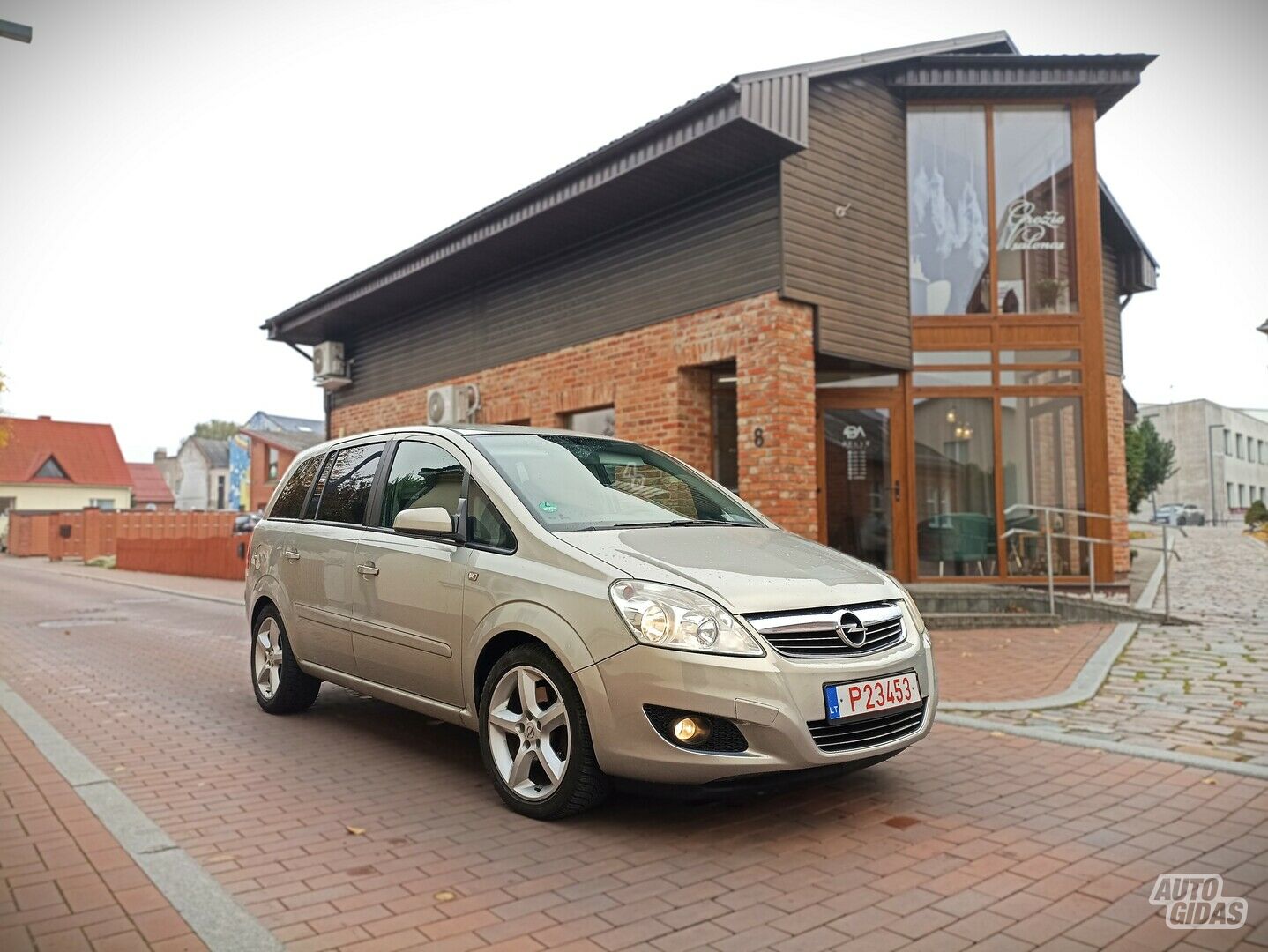 Opel Zafira 11137 2009 m