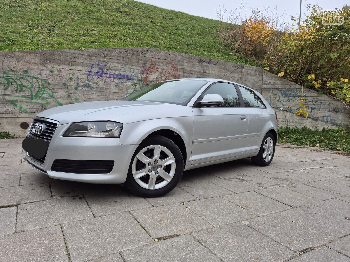 Audi A3 8P 2010 г