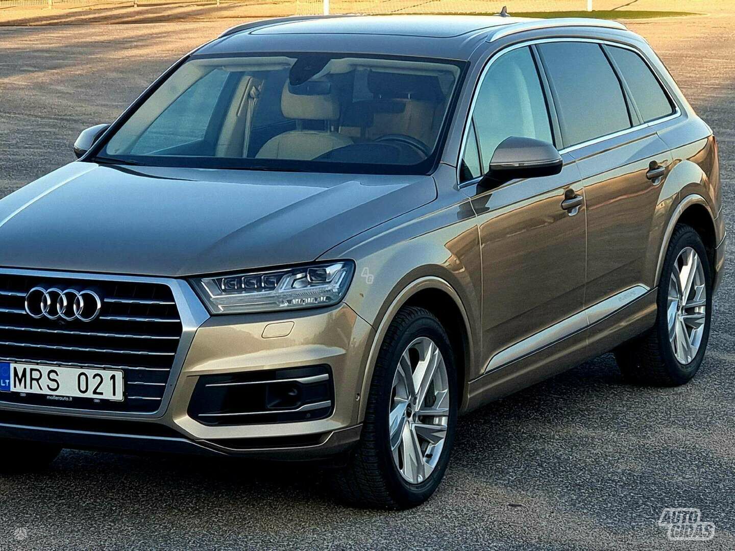 Audi Q7 2019 г Внедорожник / Кроссовер