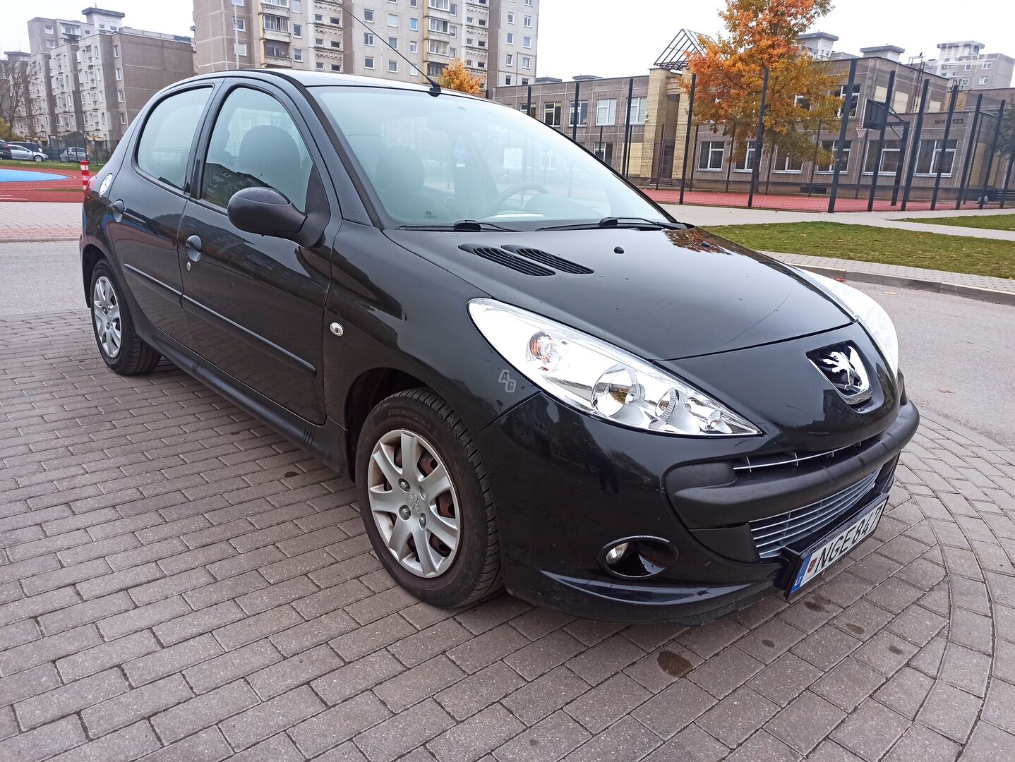 Peugeot 206+ 2009 y Hatchback