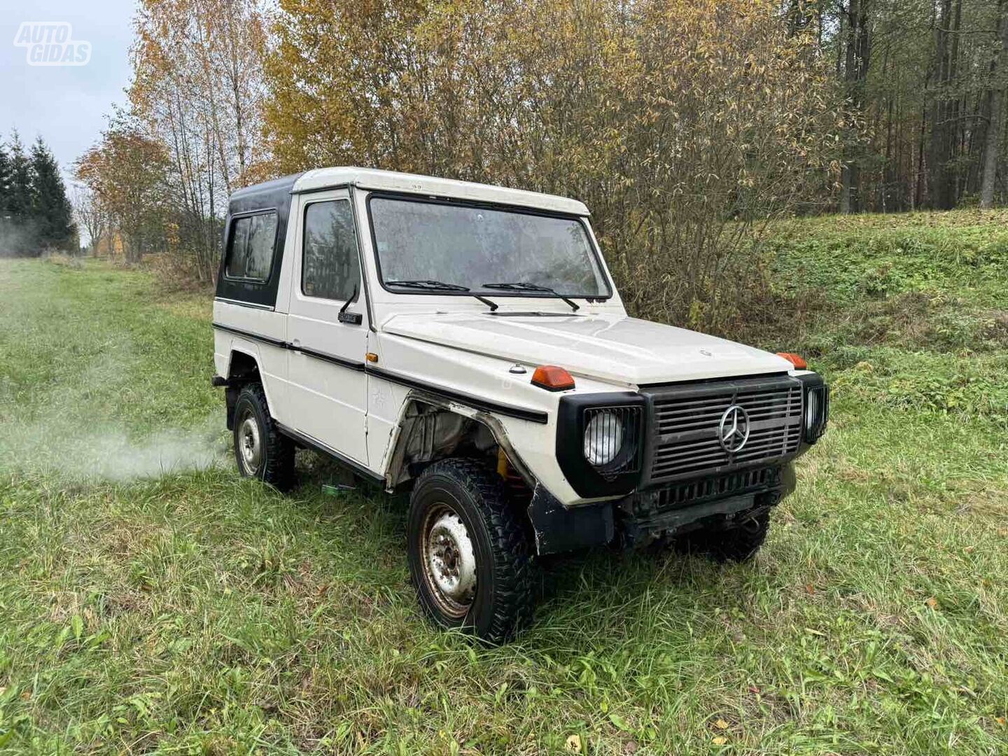 Mercedes-Benz G 230 1985 y Off-road / Crossover