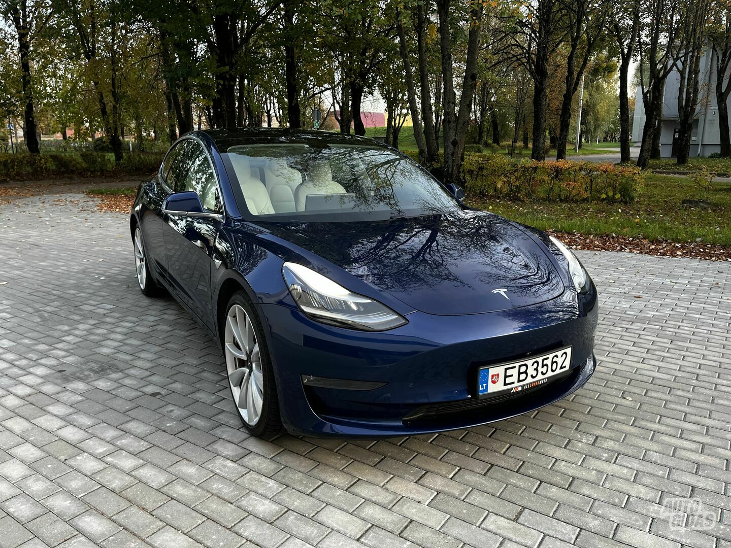 Tesla Model 3 2019 y Sedan