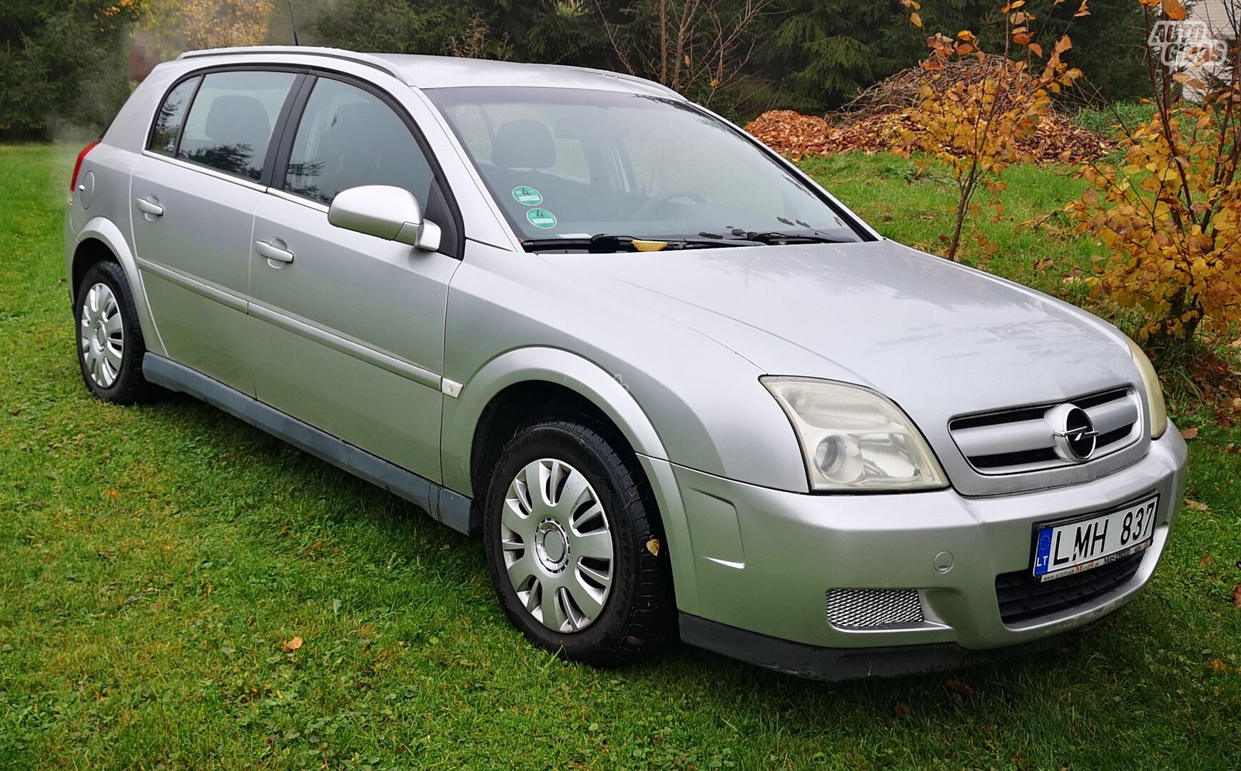 Opel Signum 2003 m Hečbekas