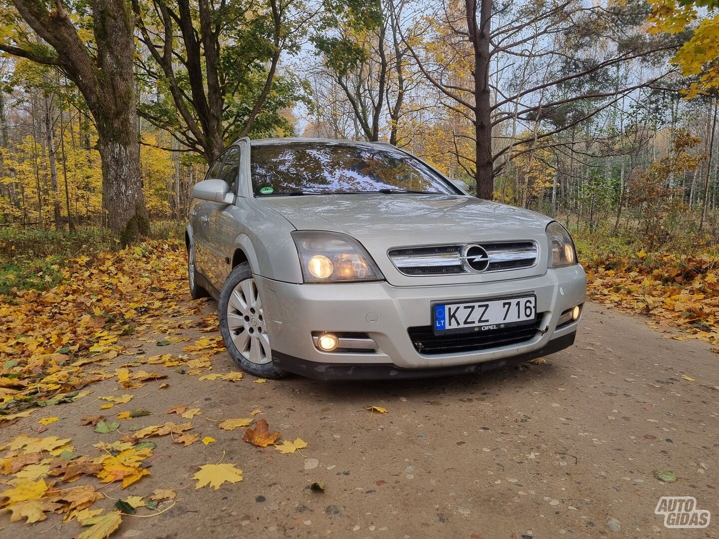 Opel Signum 2005 г Хэтчбек