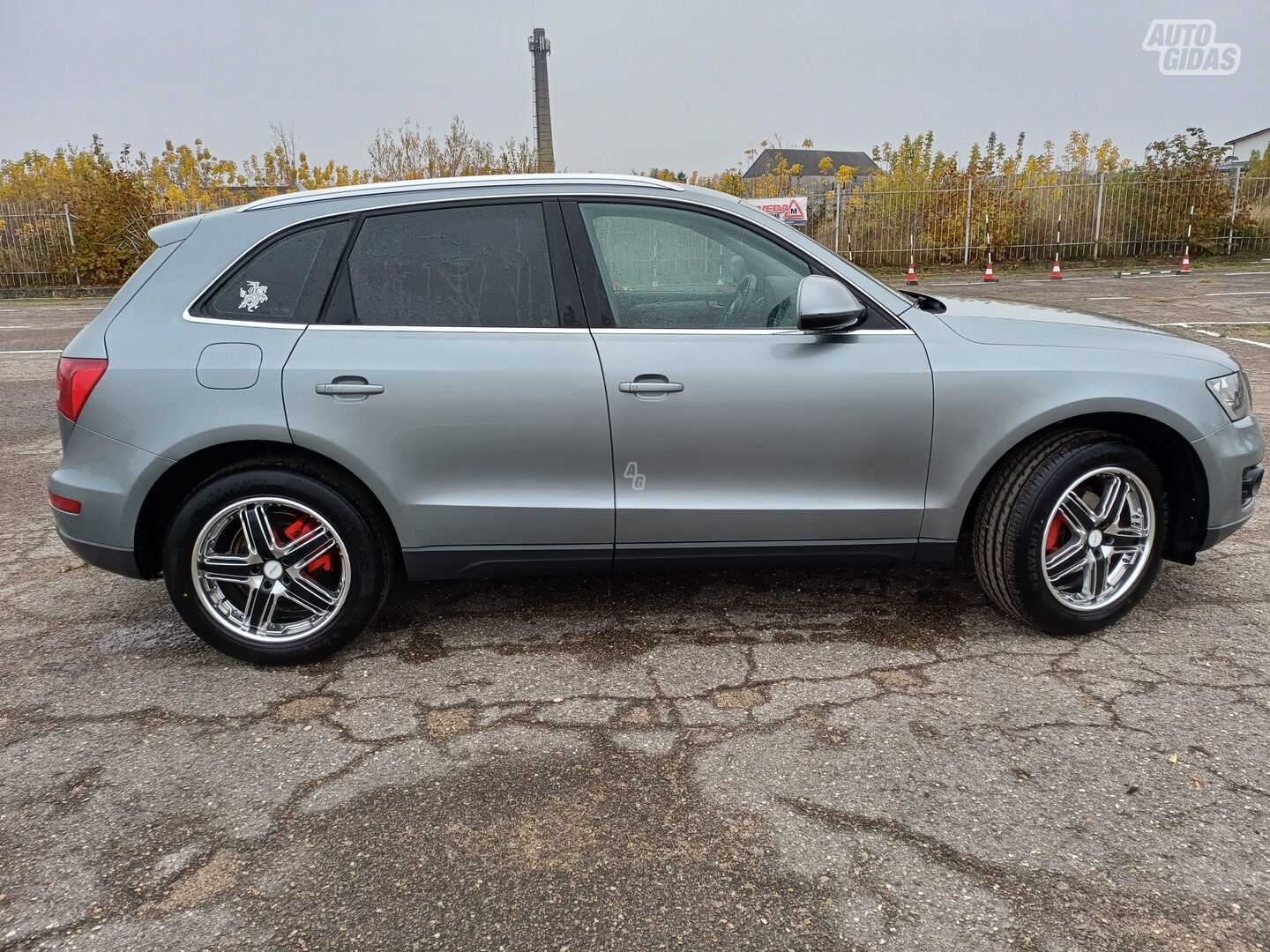 Audi Q5 2010 y Off-road / Crossover