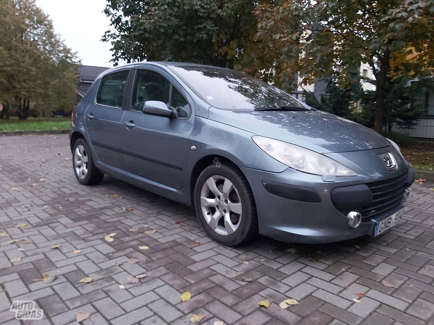 Peugeot 307 2006 m Hečbekas