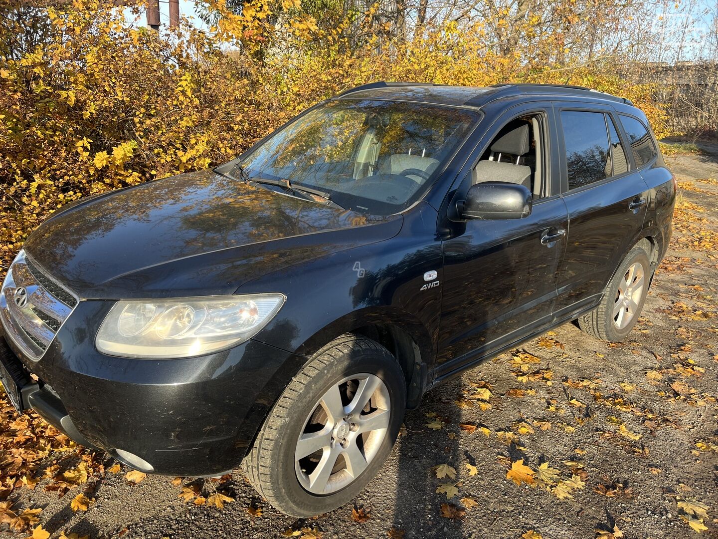 Hyundai Santa Fe II 2006 г