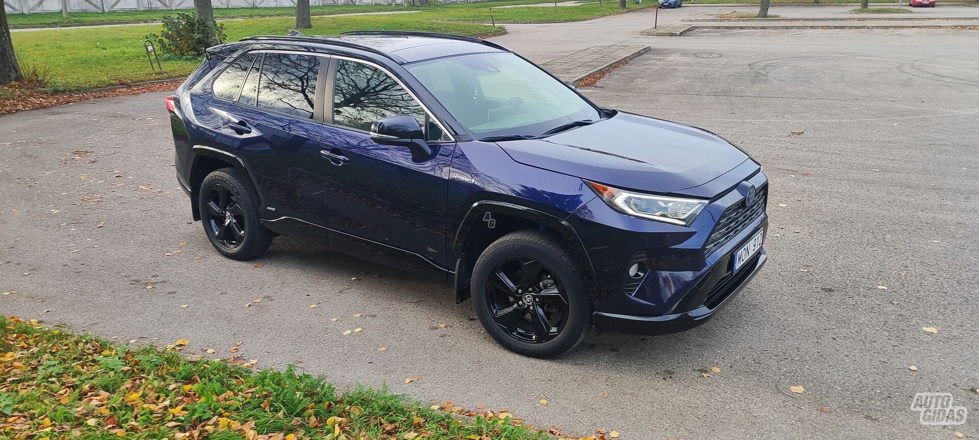 Toyota RAV4 V 2020 m