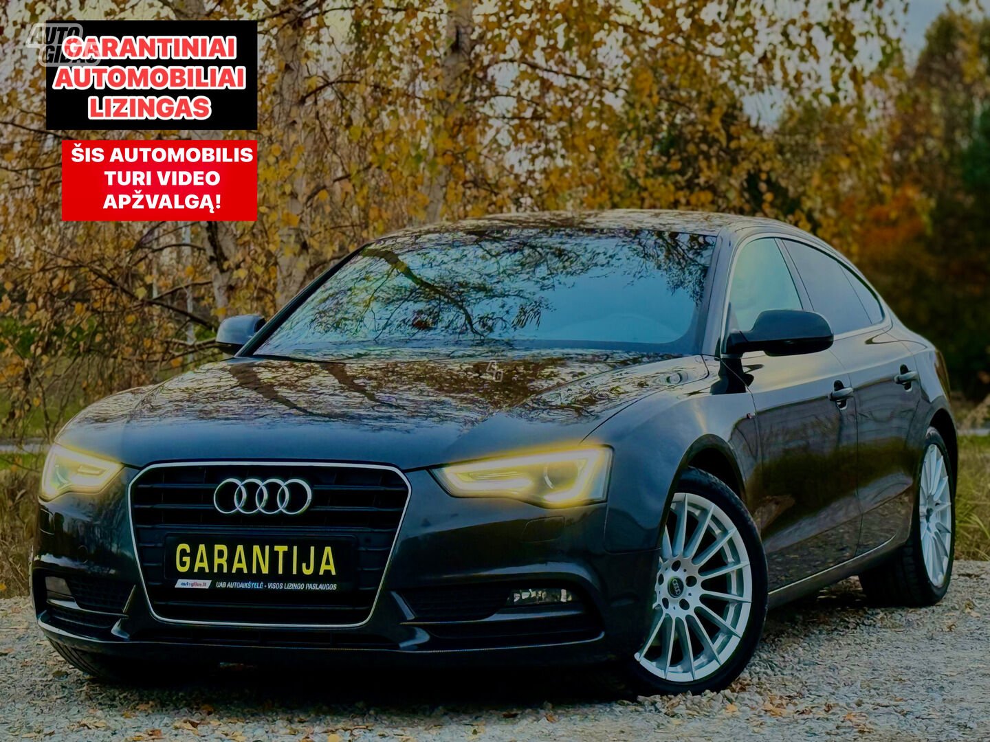 Audi A5 2012 y Hatchback