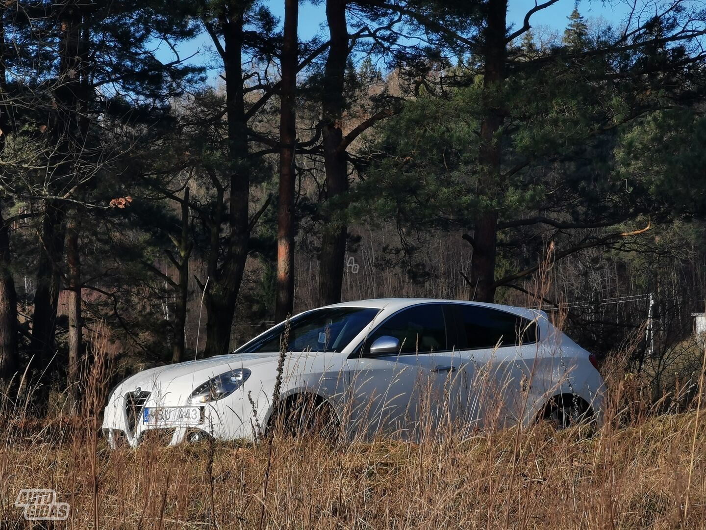 Alfa Romeo Giulietta JTDM 2014 m