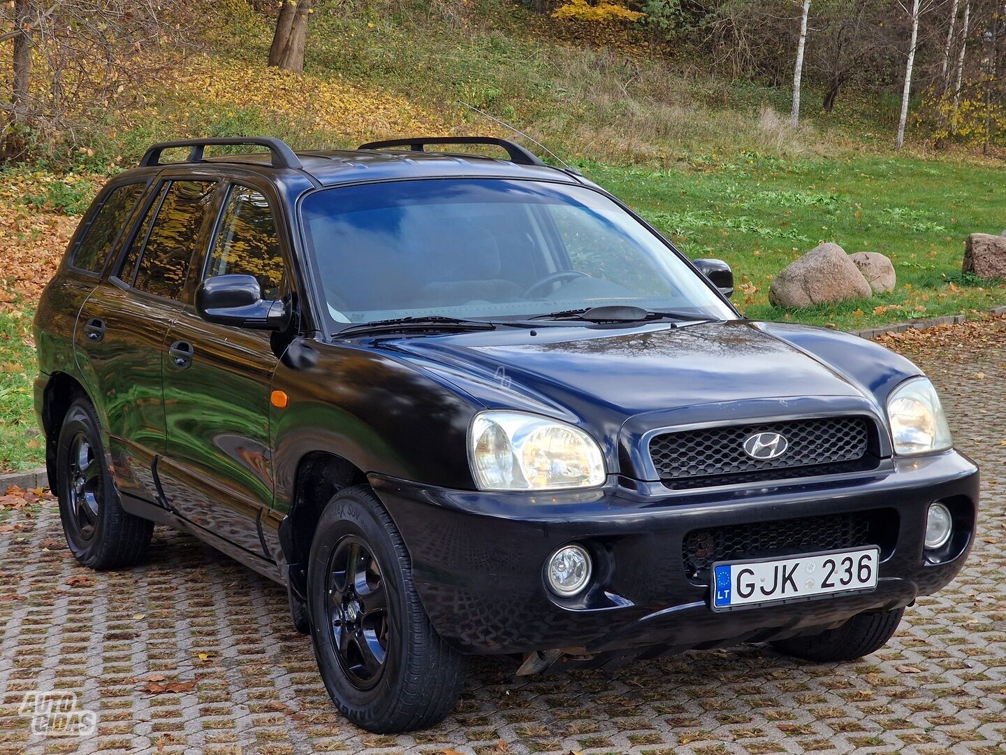 Hyundai Santa Fe I 2004 г