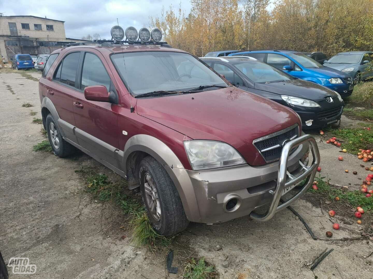 Kia Sorento 2006 m Visureigis / Krosoveris