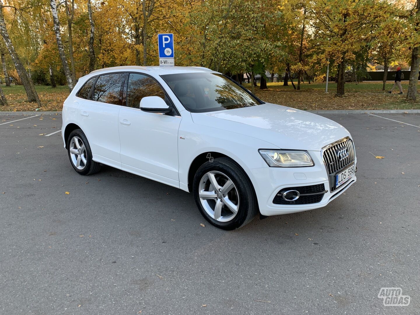 Audi Q5 I 2013 y