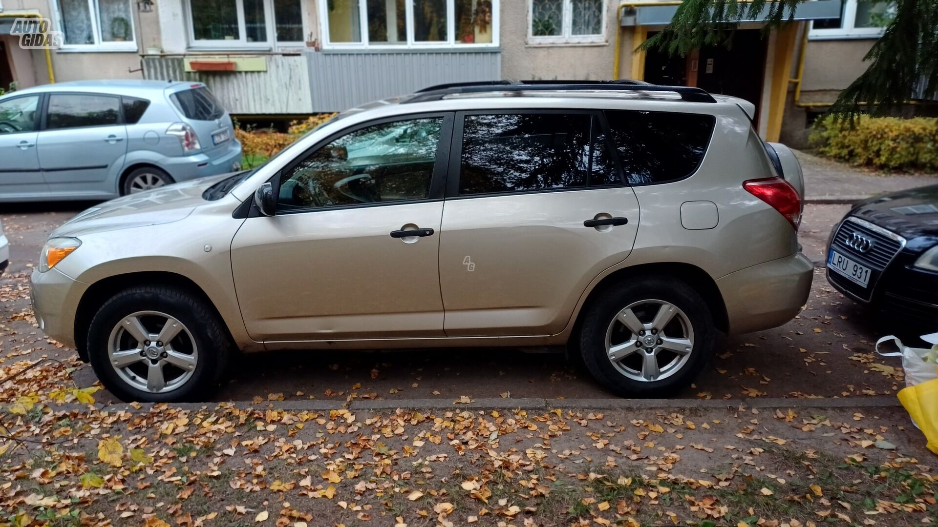 Toyota RAV4 2008 m Visureigis / Krosoveris