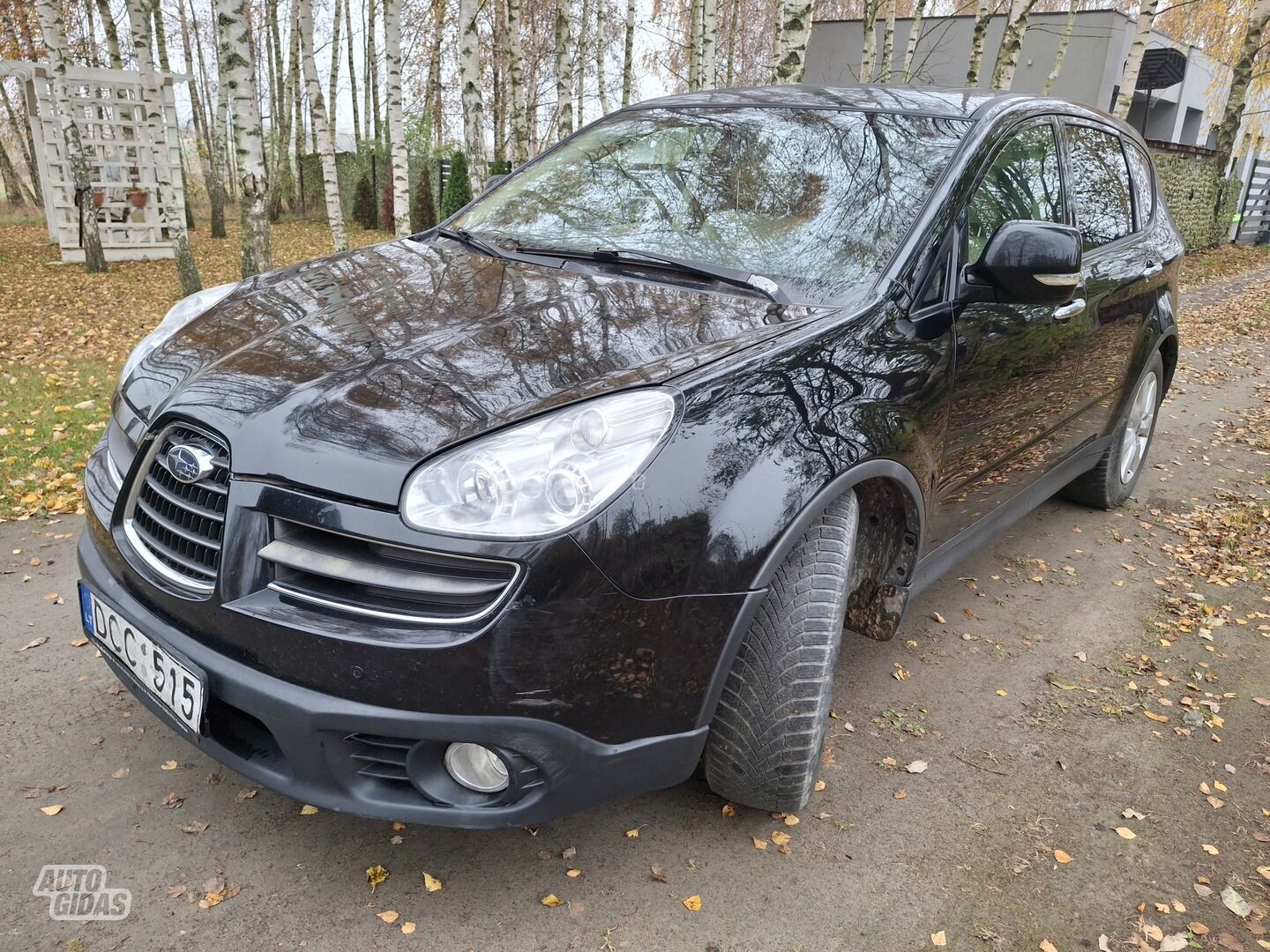 Subaru B9 Tribeca 2007 m Visureigis / Krosoveris