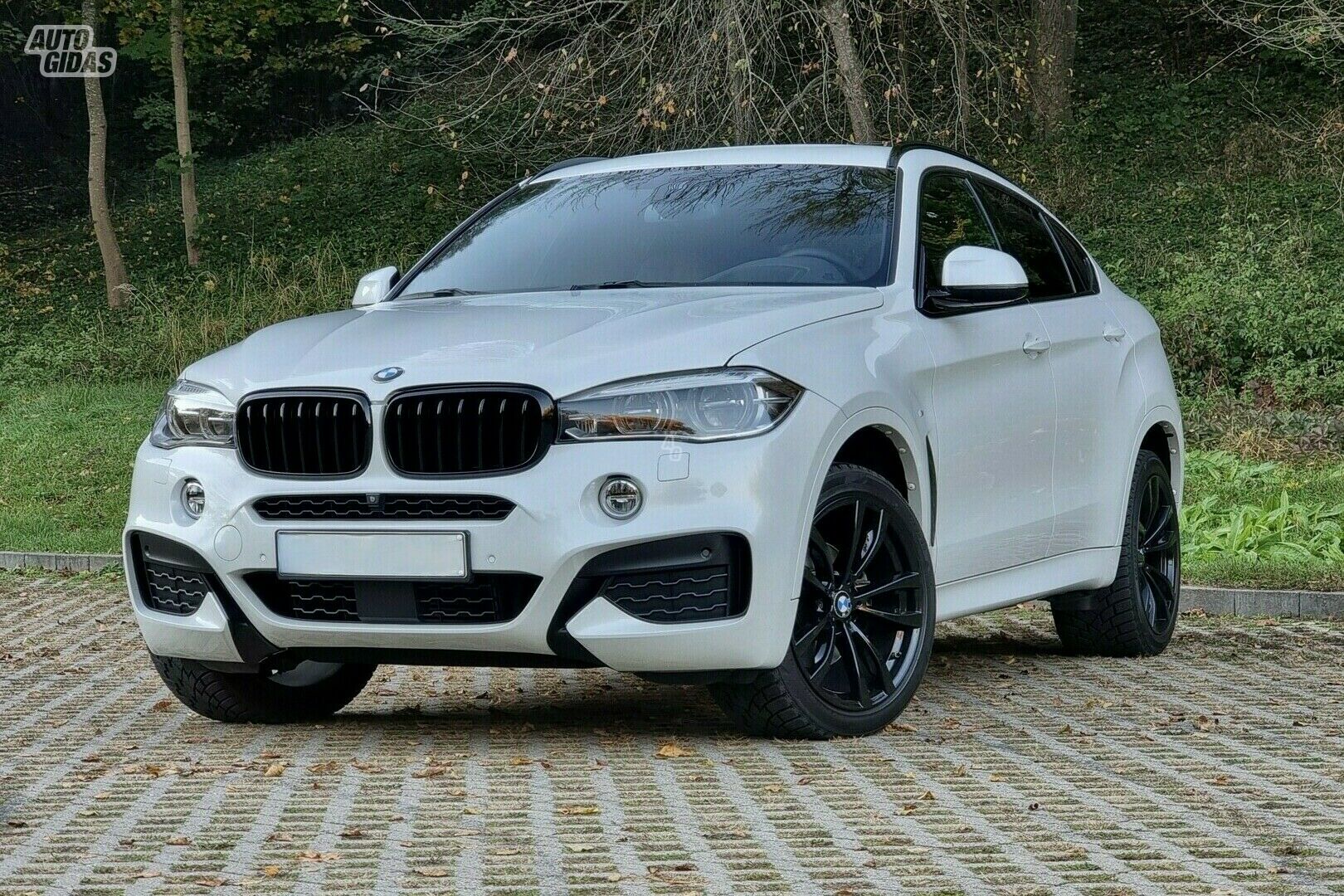 Bmw X6 2019 г Внедорожник / Кроссовер