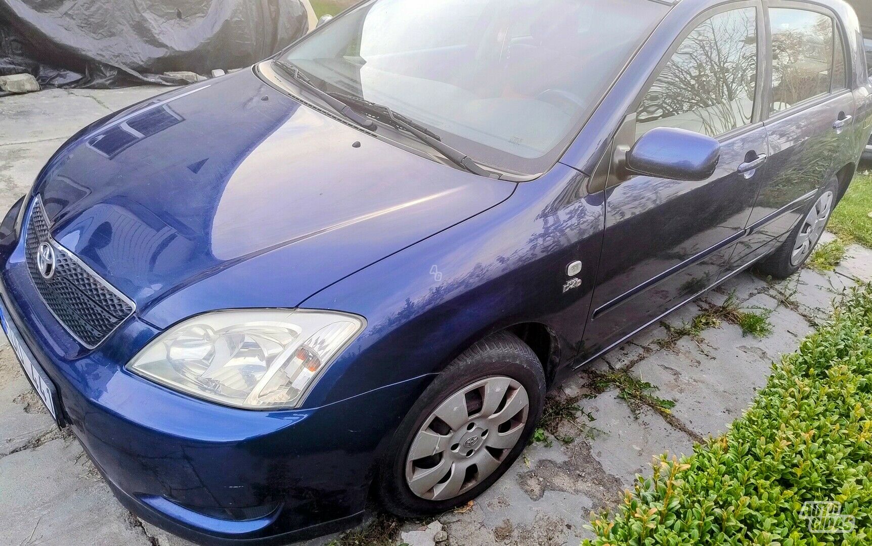 Toyota Corolla 2002 m Hečbekas