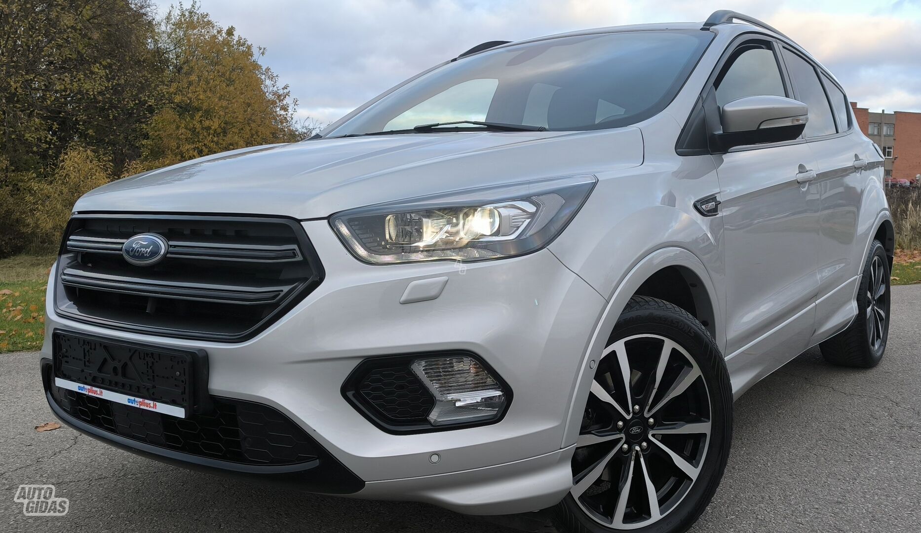 Ford Kuga 2019 г Внедорожник / Кроссовер