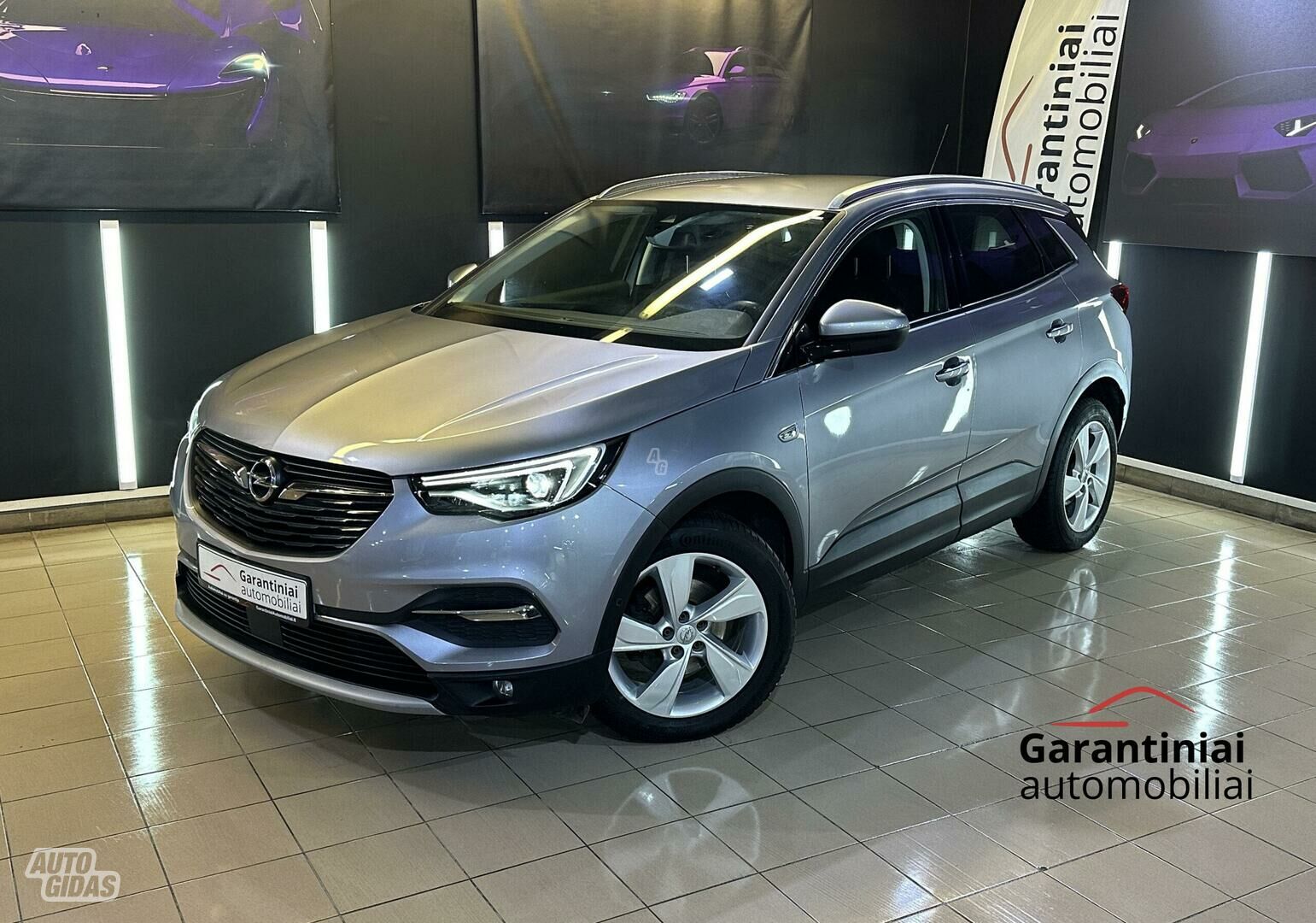 Opel Grandland X 2019 г Внедорожник / Кроссовер