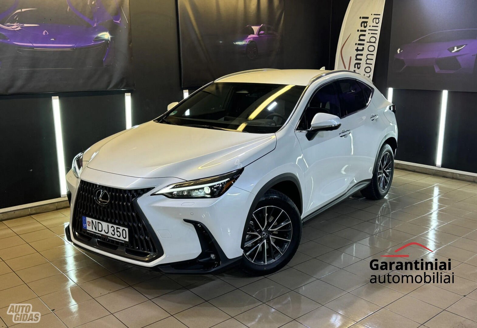 Lexus NX 350h 2023 y Off-road / Crossover