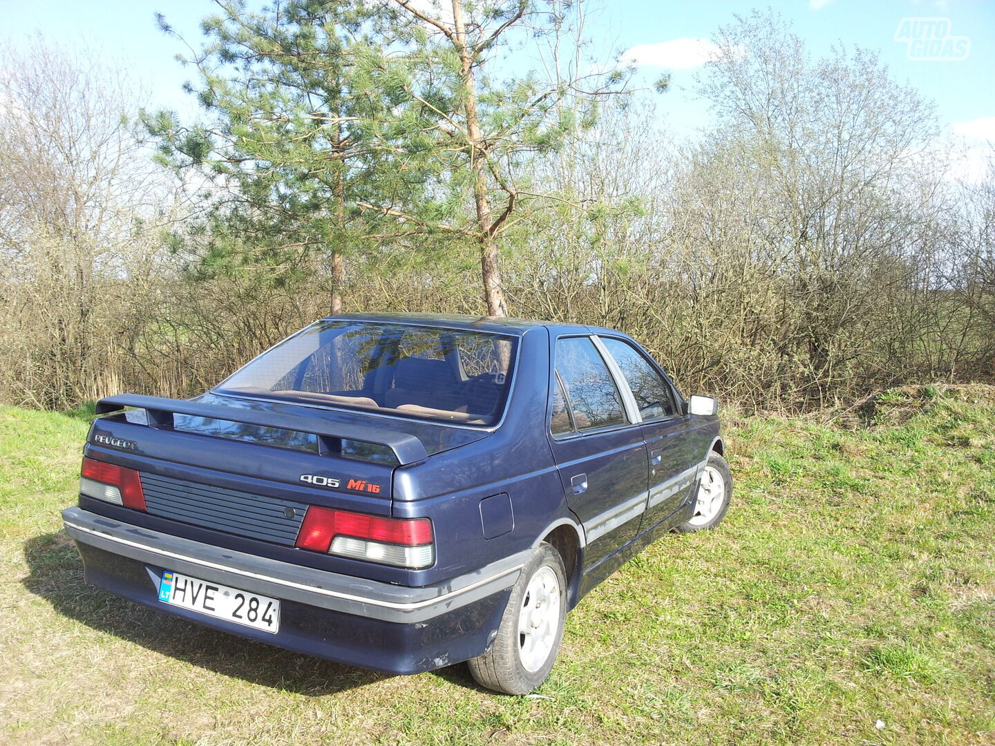 Peugeot 405 1989 m Sedanas