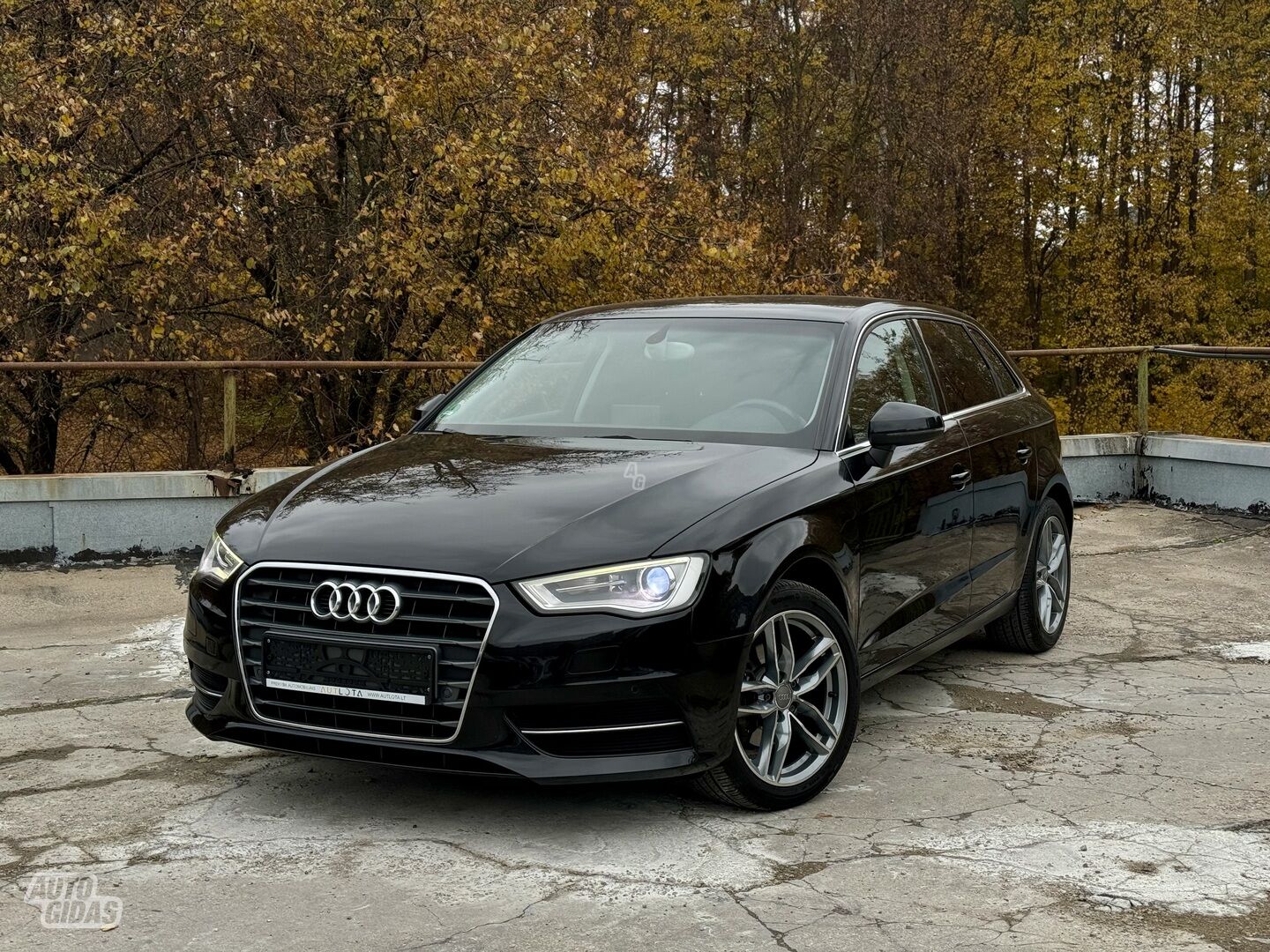 Audi A3 2013 г Хэтчбек