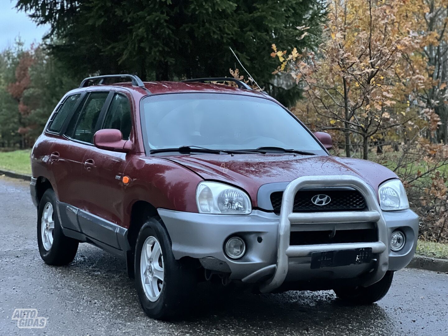 Hyundai Santa Fe I CRDI 2004 г