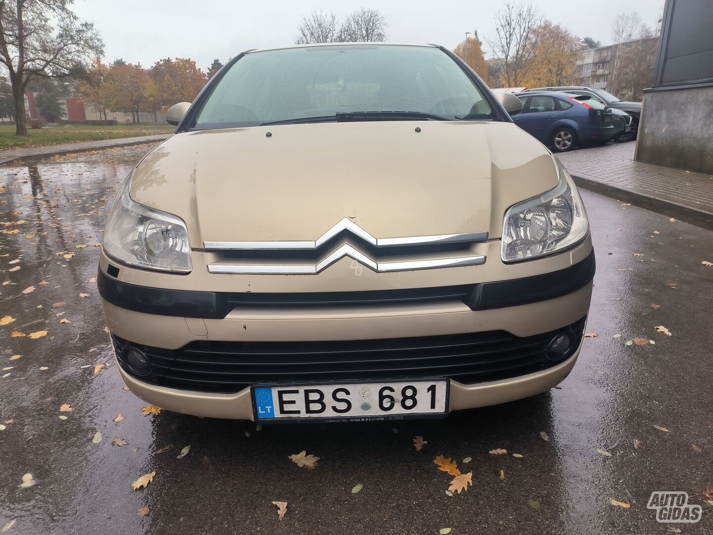 Citroen C4 2008 m Hečbekas