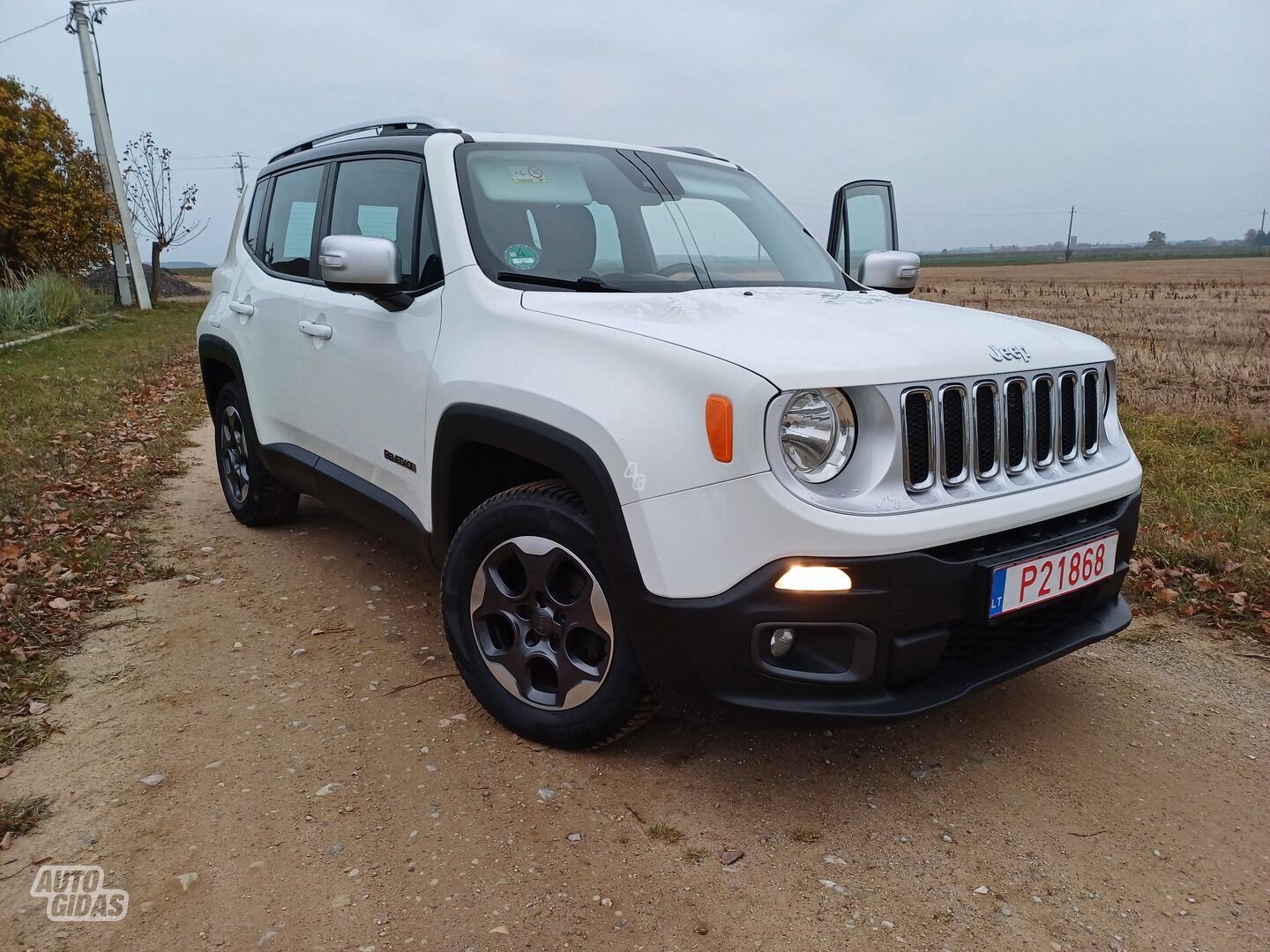 Jeep Renegade 2015 m Visureigis / Krosoveris