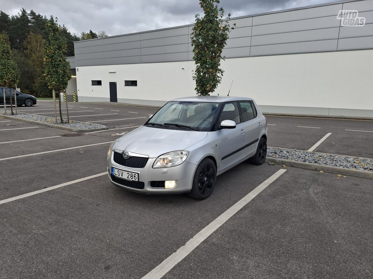 Skoda Fabia 2007 m Hečbekas