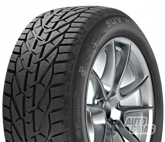 Taurus Taurus Winter (Rim F R18 winter tyres passanger car