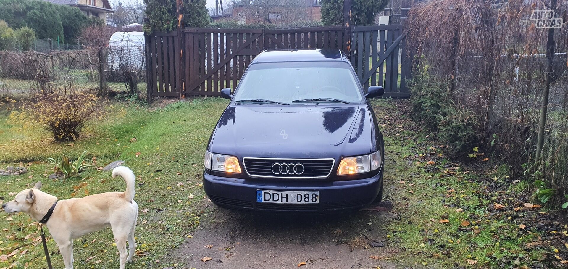 Audi A6 C4 TDI 1997 y