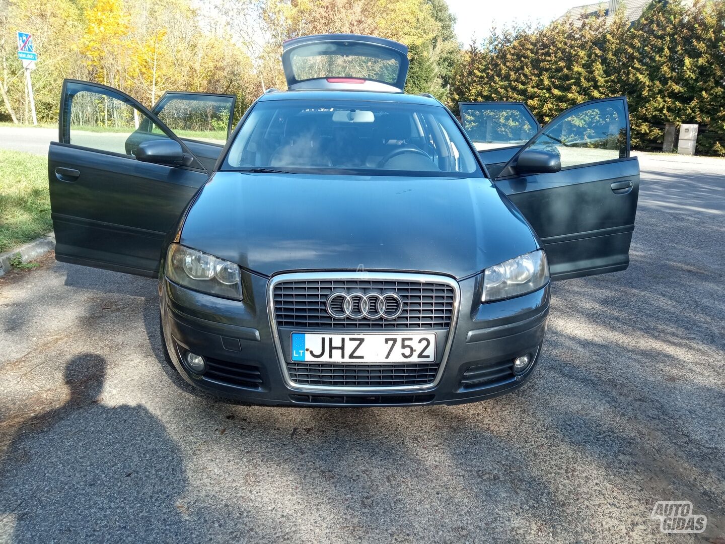 Audi A3 2005 m Hečbekas